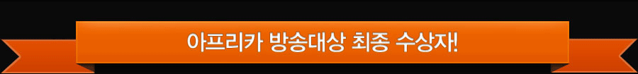 아프리카 방송대상 최종 수장자
